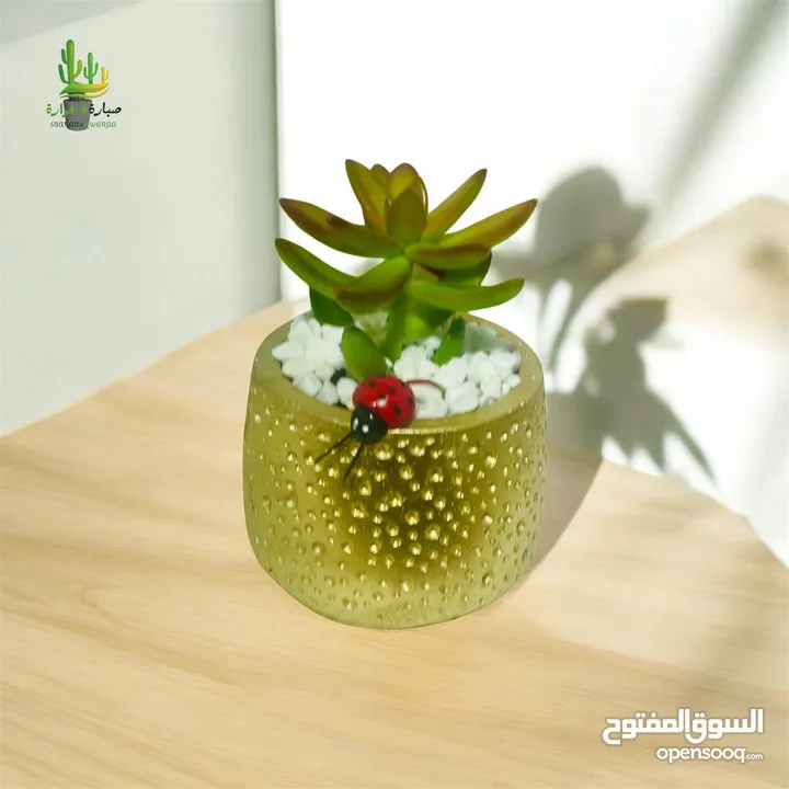 توزيعات للمناسبات والهدايا  وقواوير زينة داخل المنزل