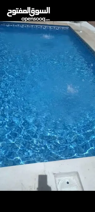 بناء مسابح برك سباحه وصيانه المسابح