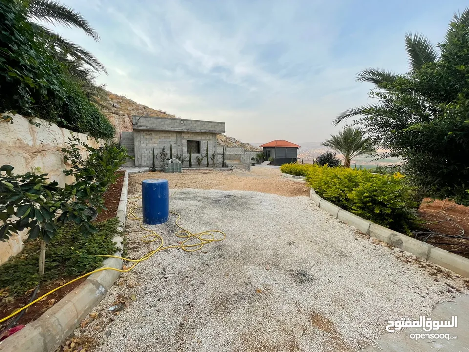 ارض للبيع في النصارية