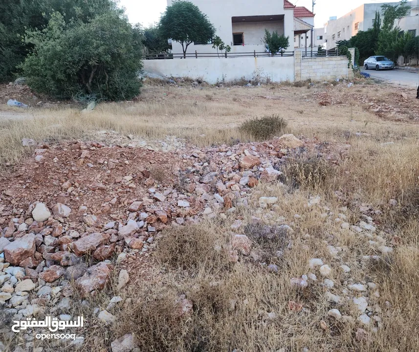 قطع سكنيه (سكن ج ) منطقه(عين جنا/ عجلون) وسط البلد،مرتفعه واطلاله جميلة على القلعة واصل جميع الخدمات