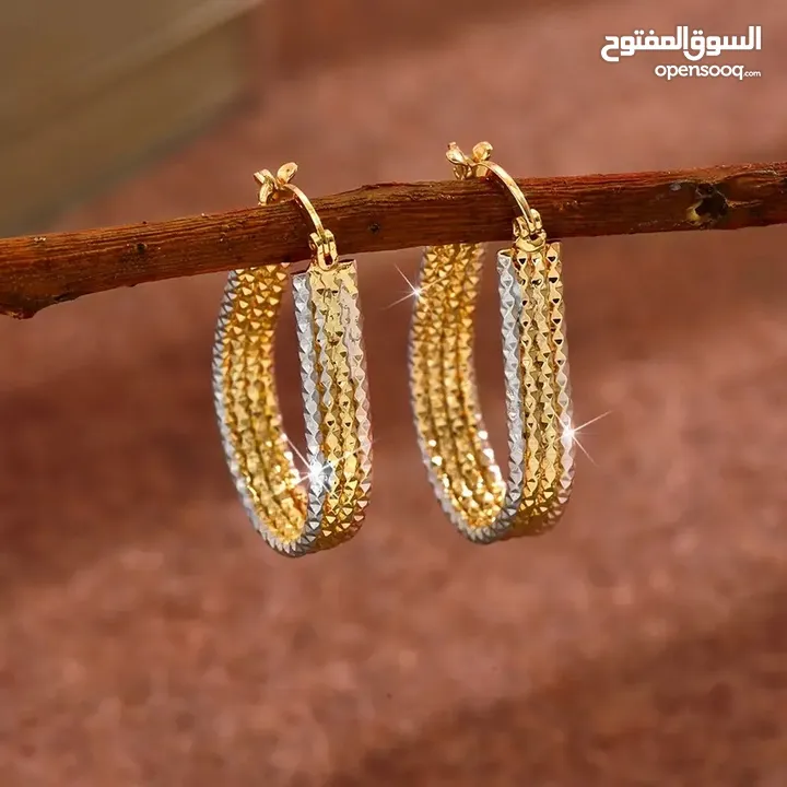 Golden Sparkling Hoop Earrings