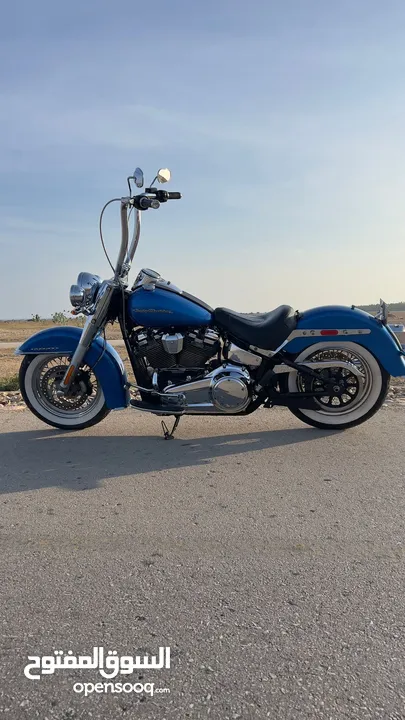 Harley softail deluxe FLDE