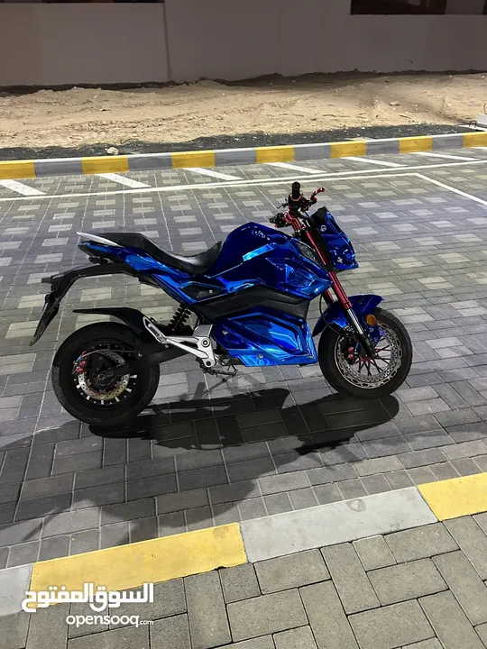 Electric motorcycle