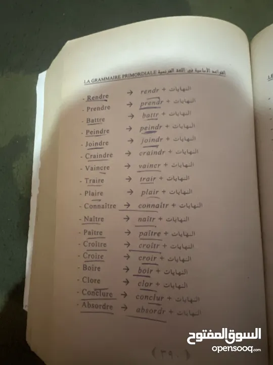 معلم لغة فرنسيه مسيه مصطفى ممدوح البدرى السيد بكالريوس تربيه قسم فرنسى تقدير جيد جدا