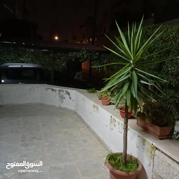 شقه مفروشه للايجار في عبدون ( Property 38202 )