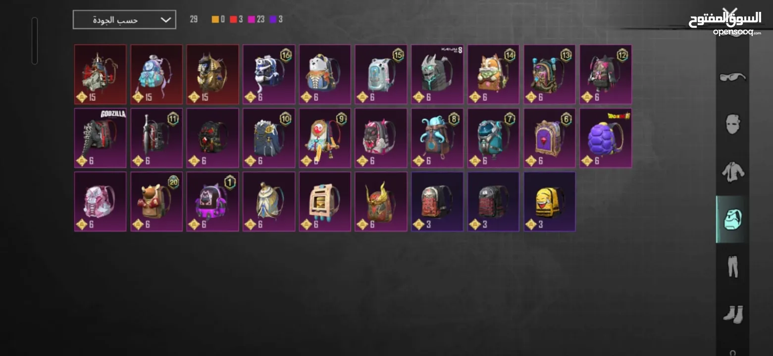 حساب ببجي مرتب