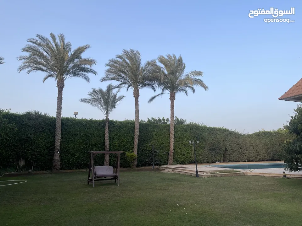 Villa El Sheikh Zayed compound el rabwa
