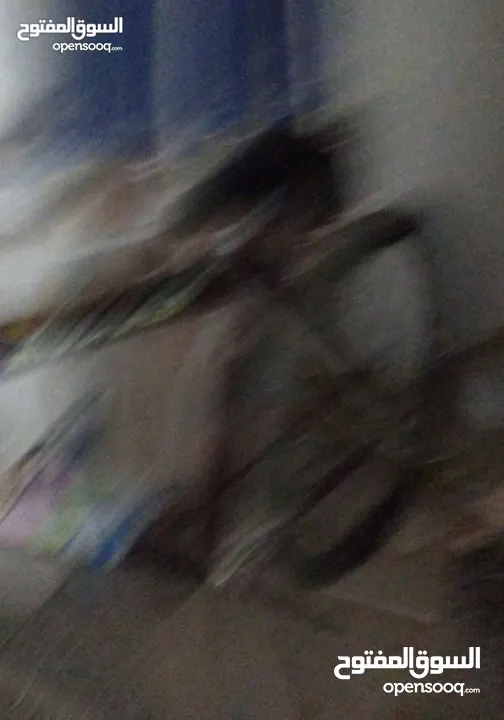 بسكليت 2025