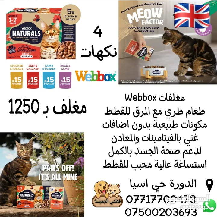 مغلفات Webbox للقطط