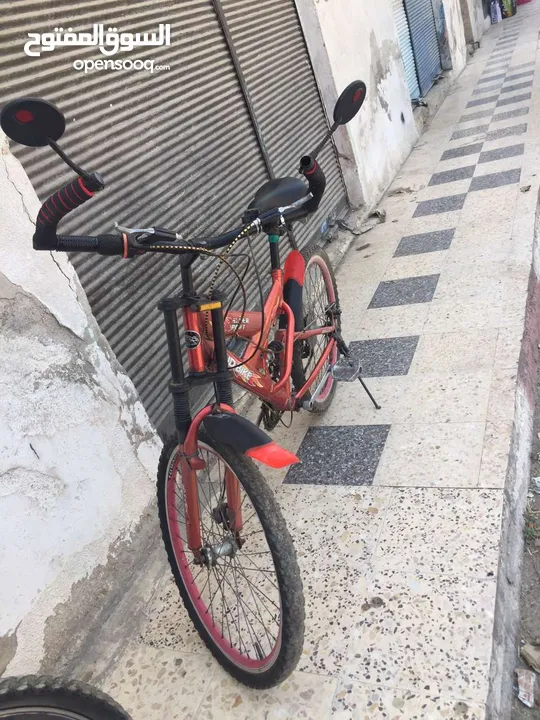 بسكليت نمره 24