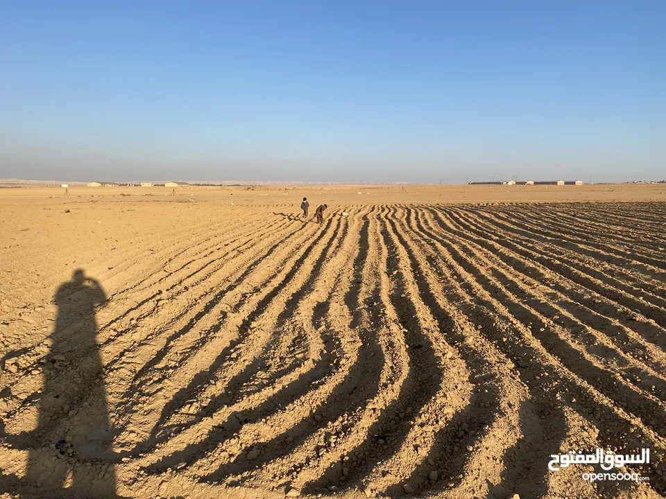 سعرر مغررري  قطعة ارض في منطقة ضبعه قرية بريك الموارس الشرقي 3.400 دنوم تابعه لاراضي جنوب عمان