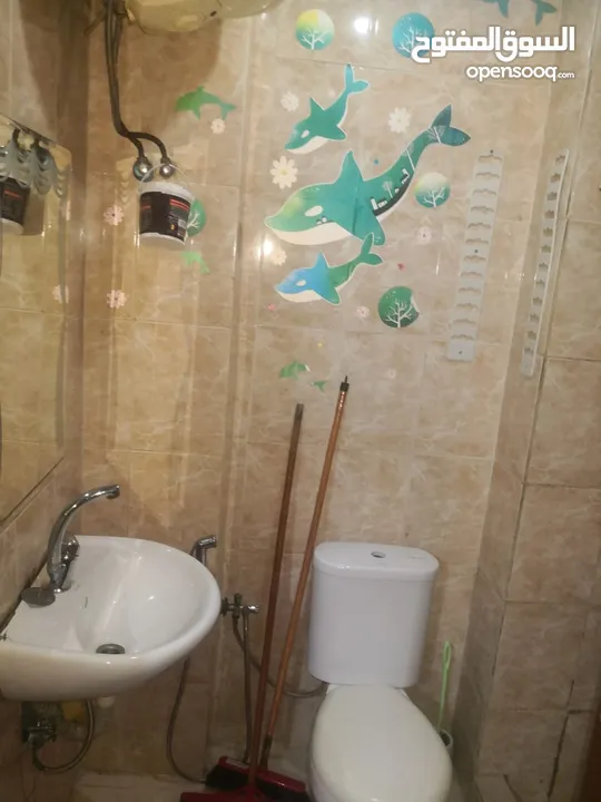 خلف مستشفى الحسين قرب سكن اميمه غرفه و صاله مفروش
