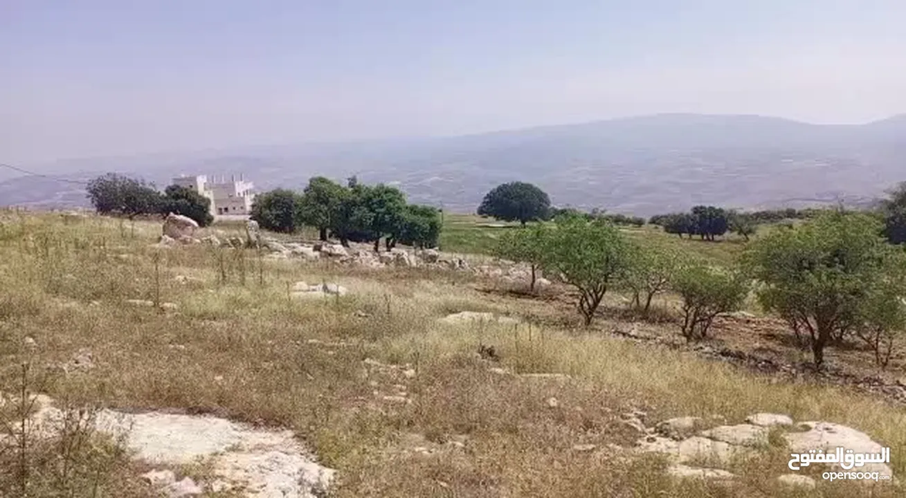 نمرة أرض جرش نجدة