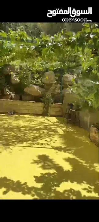 ارض للبيع في منطقه جفنا  في العالي صالحه للبناء واصل كل الخدمات مساحه 500متر