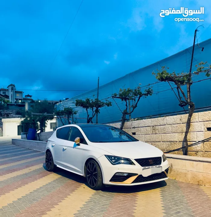 كوبرا 2019 توماتيك فل الفل كرتونة نخب