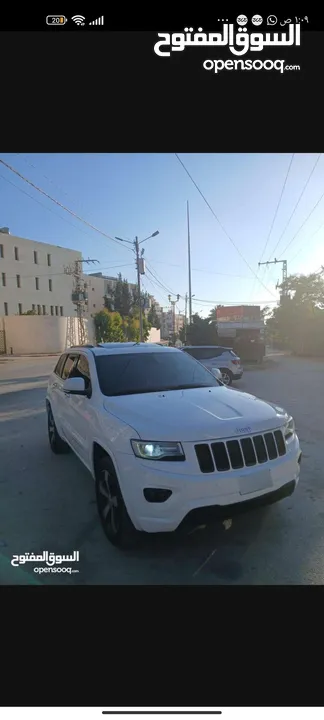 جيب فل كرتونه