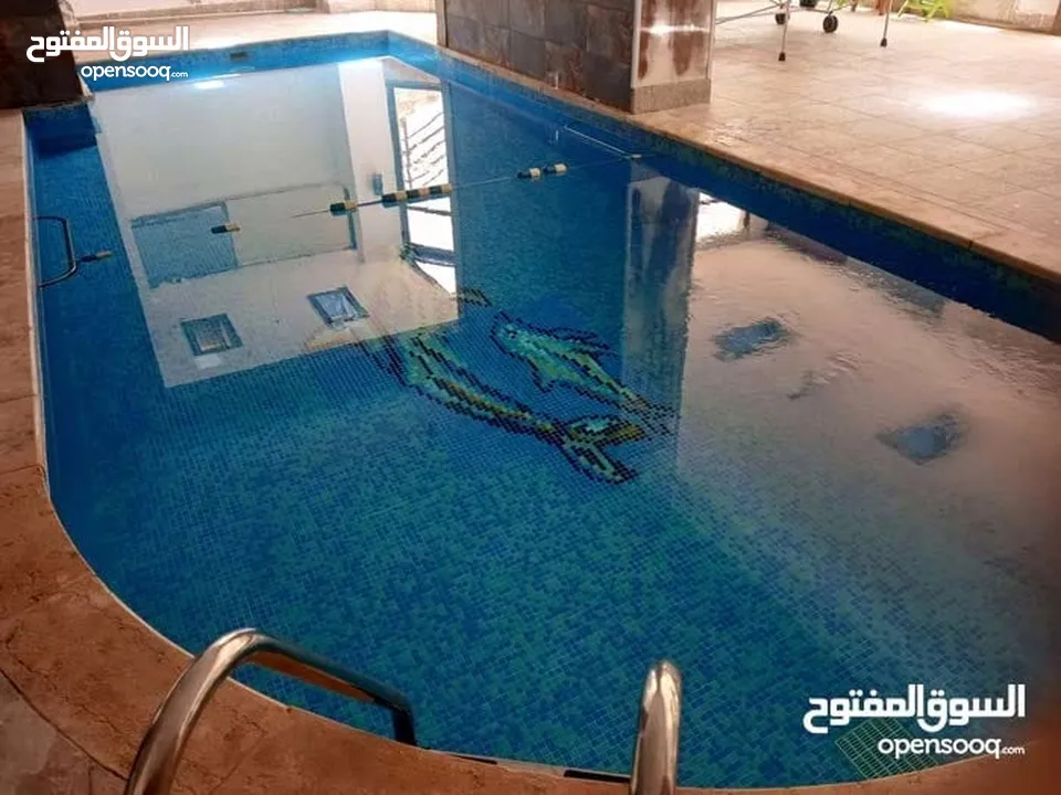 مزرعة اطلالة البحيرات  سد الملك طلال جرش