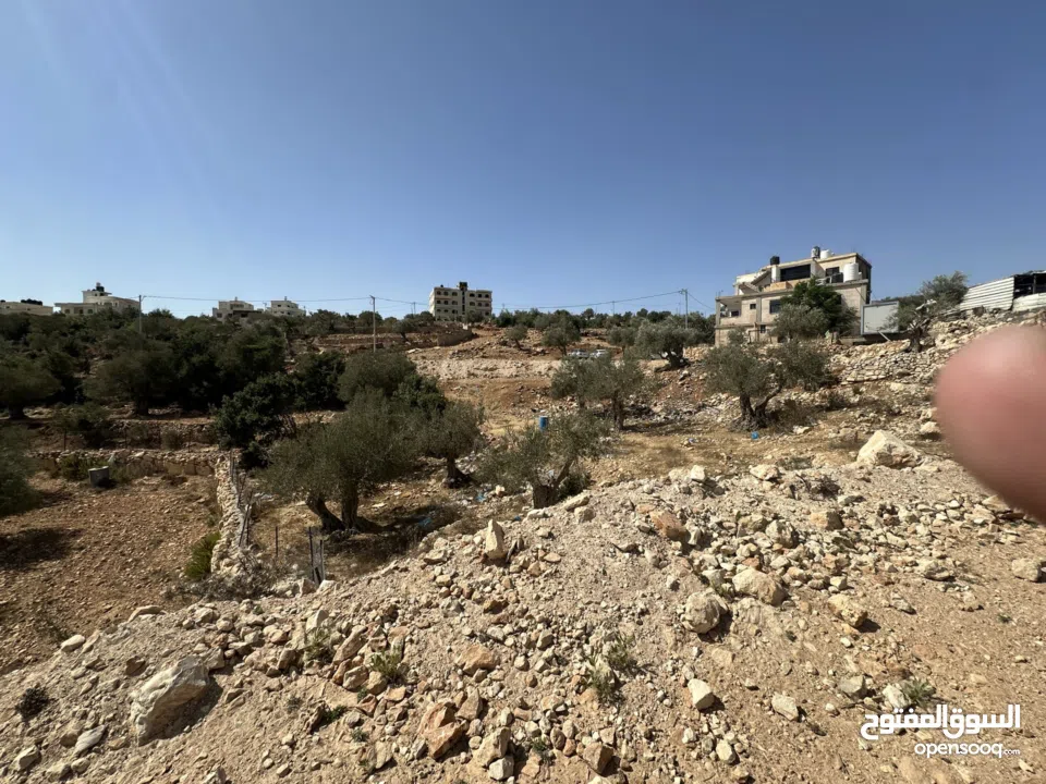 قطعة ارض نص دونم 500متر منطقة A للبيع جفنا-زعبوب