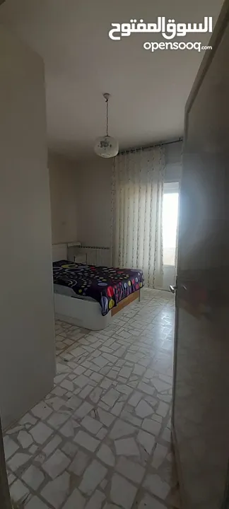 شقة مفروشة للايجار