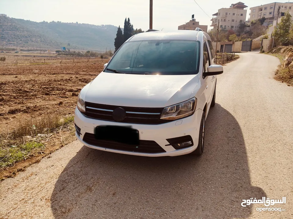 كادي 2020 شصي طويل فحص نخب النخب فل الفل