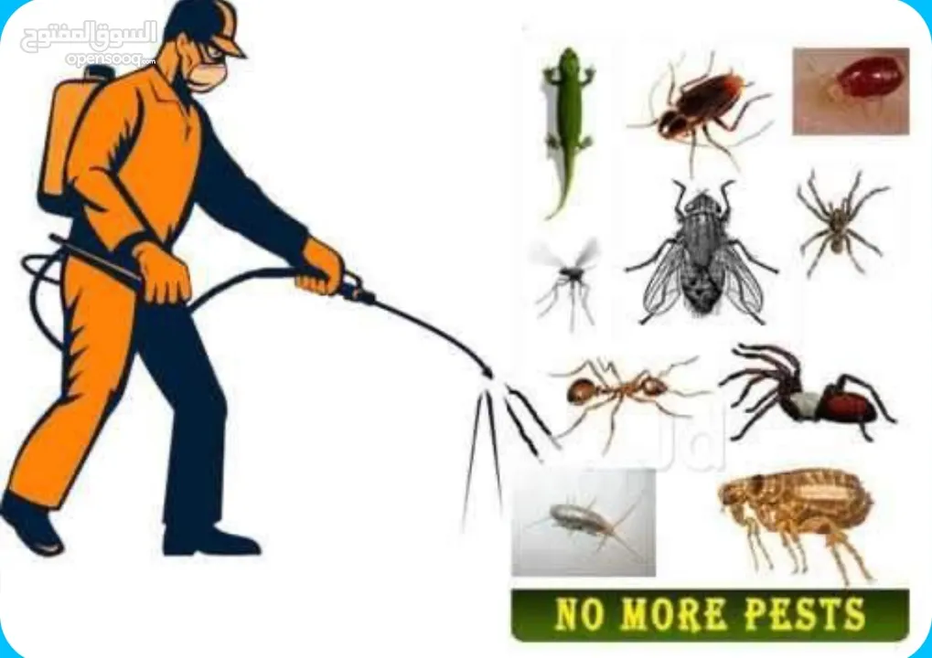 شركة ابيض ابيض لمكافحة الحشرات