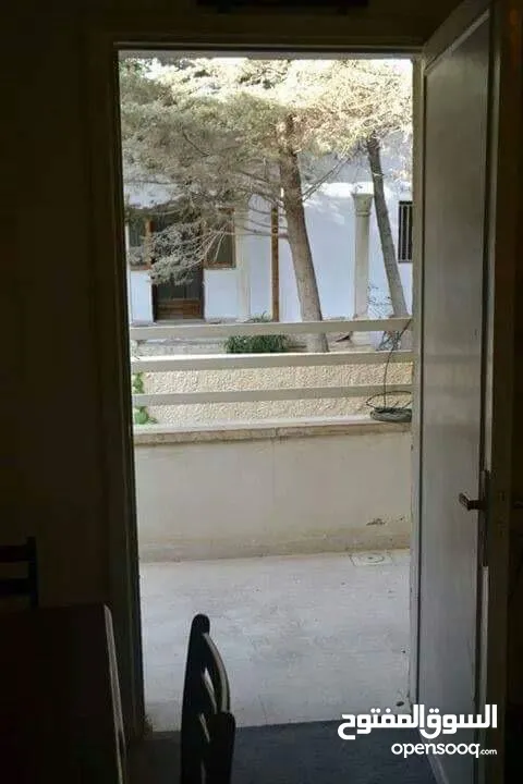 Fully furnished apartment in Jabal Weibdeh near of Paris circle