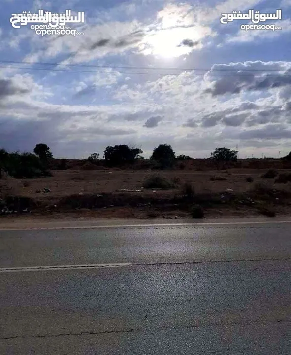 أرض علي القطران في سيدي السايح 2 هكتار و 3000 متر
