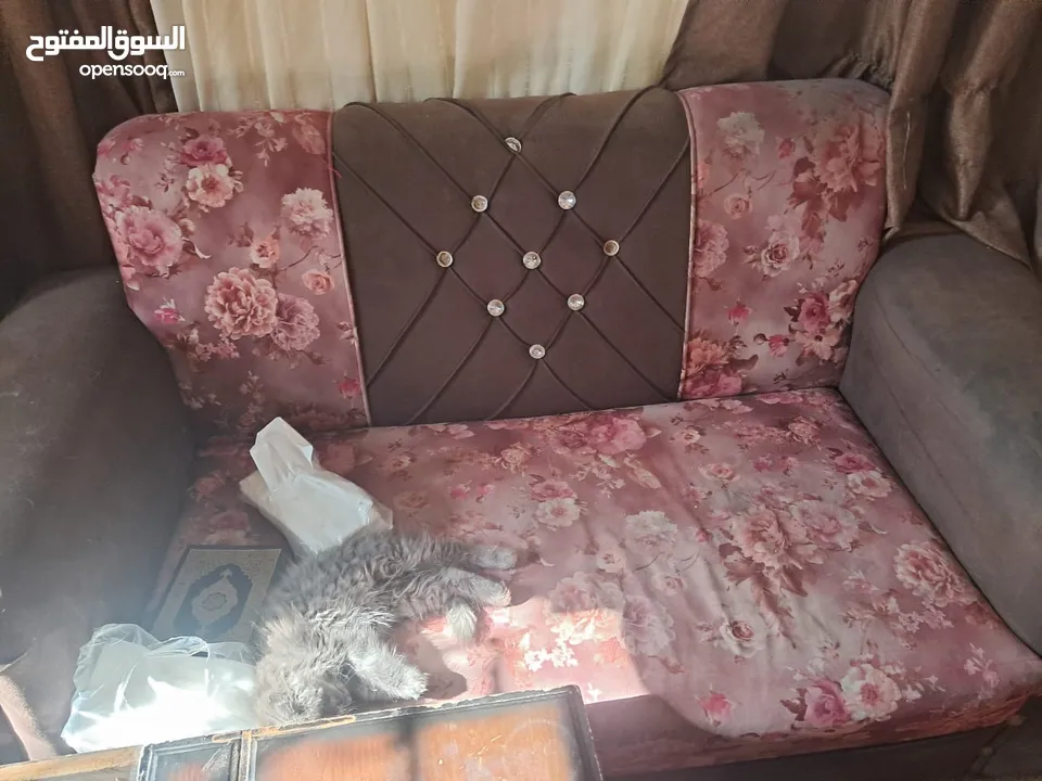 عفش للبيع مستعمل بحالة جيدة يحتاج لغسيل