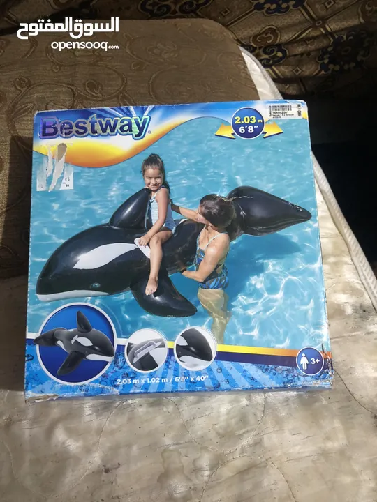 بلون البحر دلفيل
