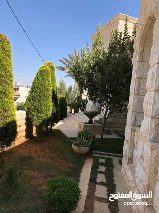 فيلا مفروشه للايجار في عبدون ( Property 40254 )-175089630