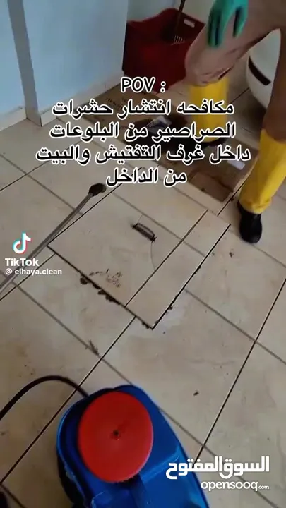 الشركة الدولية لمكافحة الحشرات بجميع مناطق الكويت