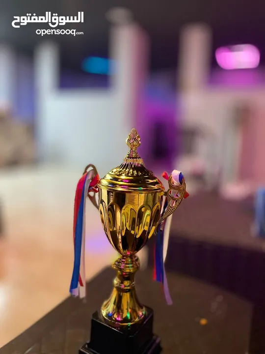 كأس دوري أبطال أوروبا