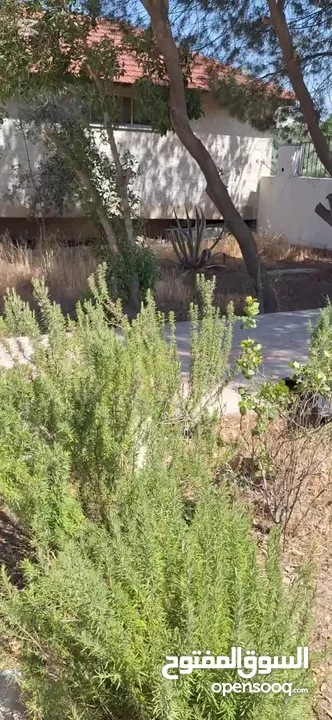 فيلا فاخرة للبيع أو للايجار في الأردن (منطقة الحصن - اربد )من المالك مباشرة للسكن /للأعمال التجارية