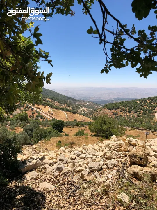 أرض ممتازة في جرش للسكن و للزراعة بقرب أحراش الدولة و سعر مغري  للمزيد من المعلومات اقرأ الوصف