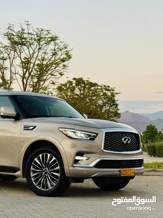 إنفنتي QX80