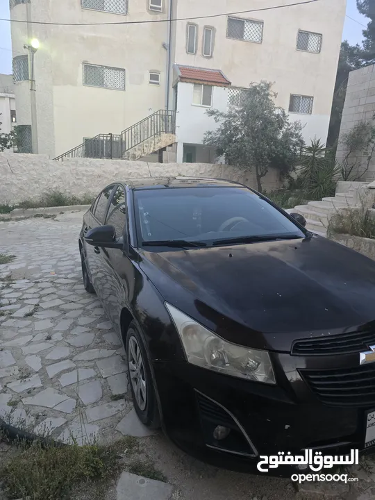 شفر كروز 2015