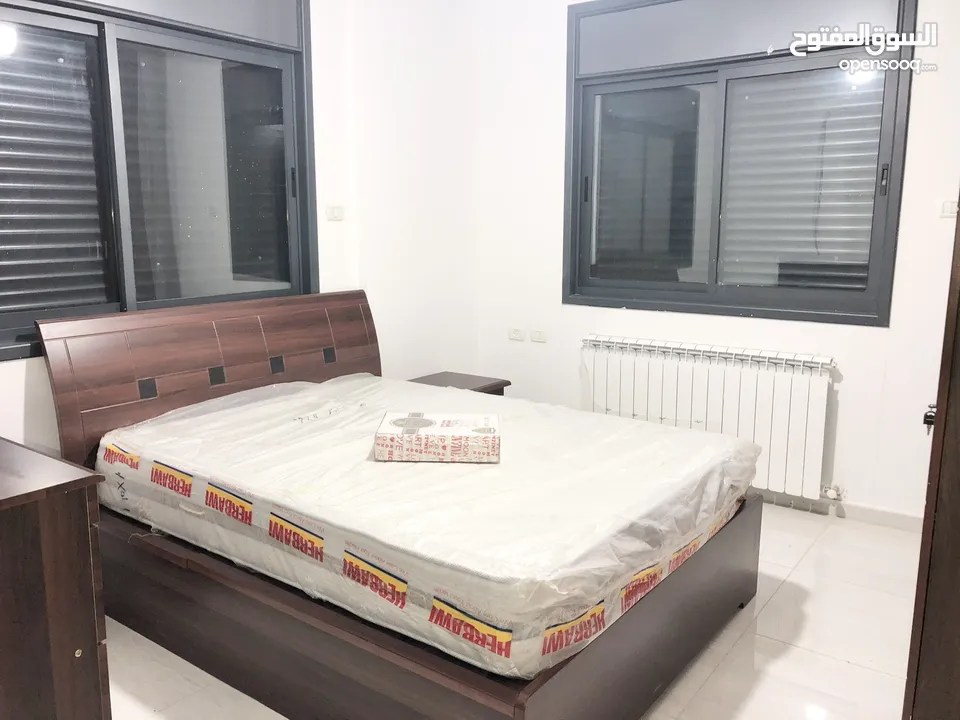 شقة مفروشة في الماصيون قرب التشريعي
