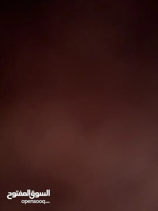 مطلوب كلب للتبني