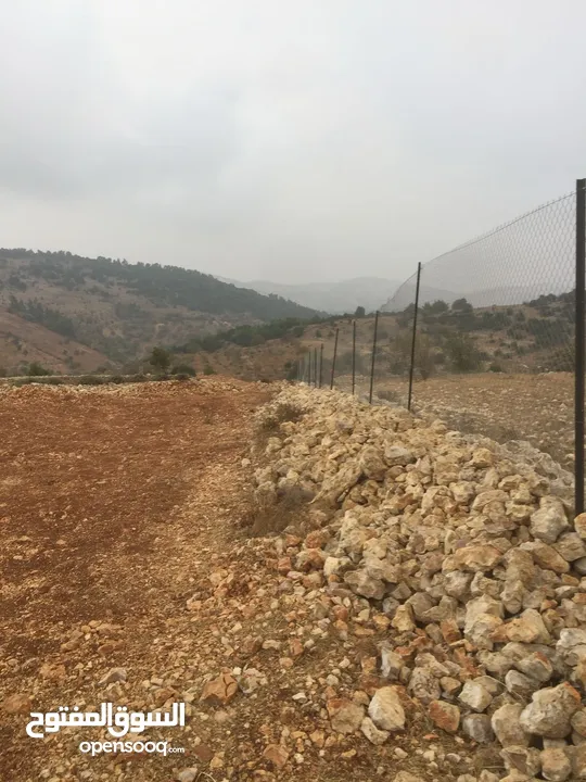 أرض ممتازة في جرش للسكن و للزراعة بقرب أحراش الدولة و سعر مغري  للمزيد من المعلومات اقرأ الوصف