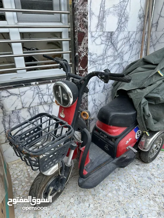 دراجة شحن نوع صيني