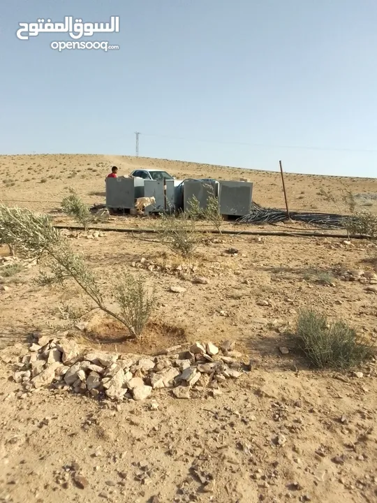 عشره دنمات للبيع