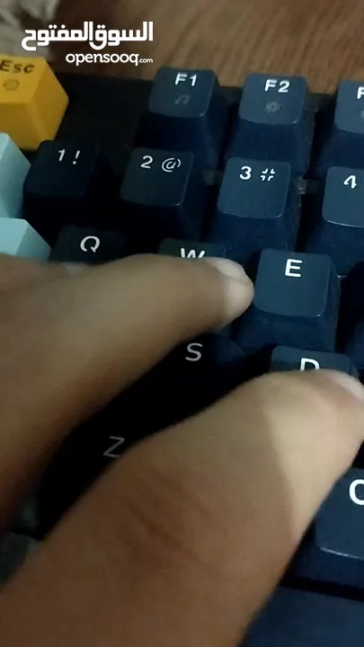 atom81 automatic keyboard