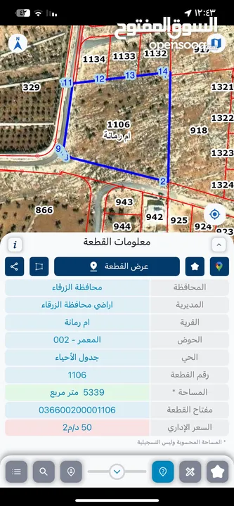 ارض زراعية داخله التنظيم
