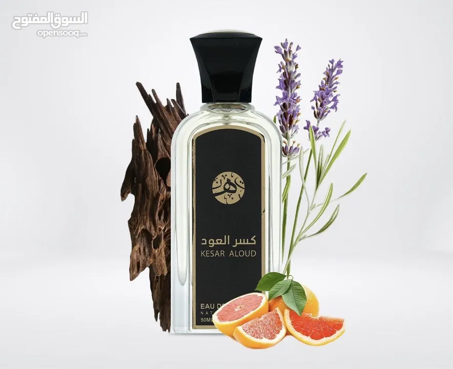 عطور رجالي فخمه بنص السعر