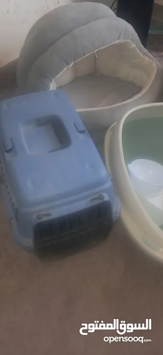 مستلزمات قطط للبيع بسعر حرق