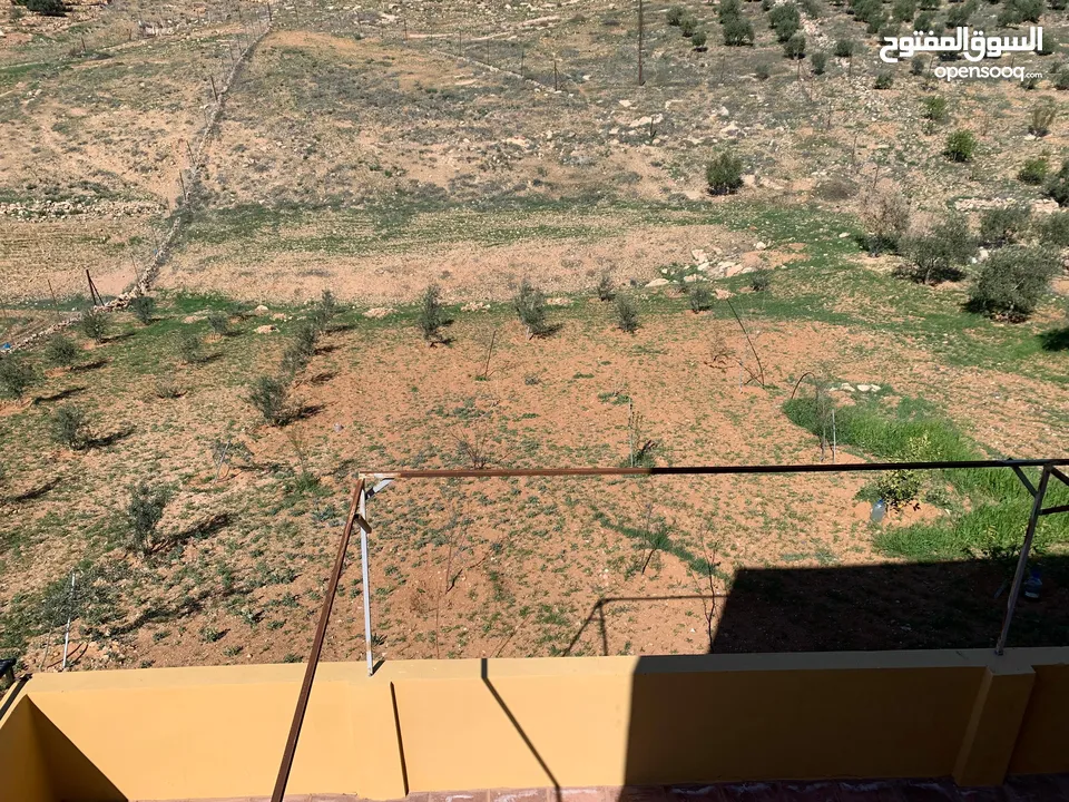 منزل ومزرعة للبيع في منطقة المريجمة-مادبا
