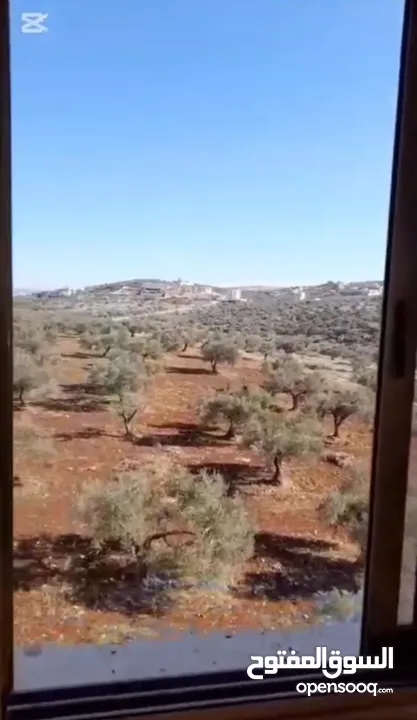 شقة للبيع في جنين (ضاحية الزيتونة) بسعر مغري من المالك مباشرة