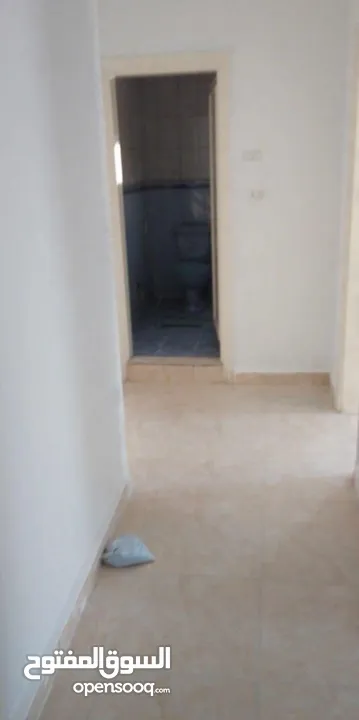 شقه للايجار