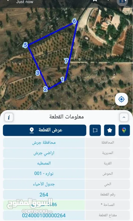 ارض للبيع 5 دونم في جرش المصطبة