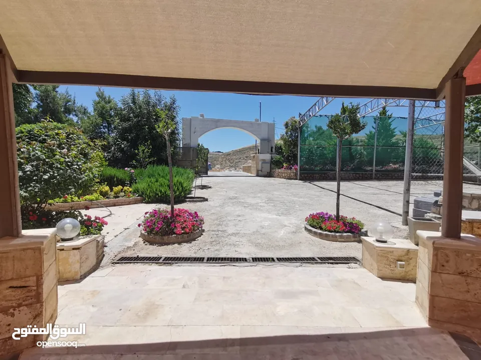 مزرعة للايجار عمان شارع الاردن